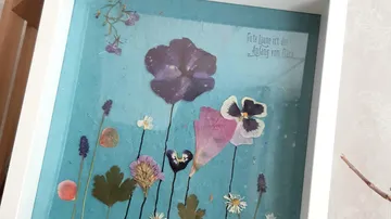 Dried flowers are arranged in a white frame.