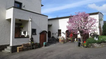 Hübsches Haus mit blühendem Baum in ruhigem Wohnbereich.