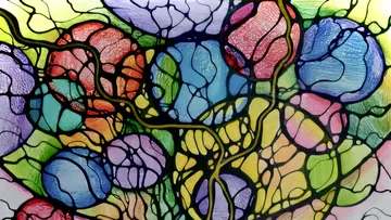 Colourful, organic shapes are spread out in bright, vivid colours.