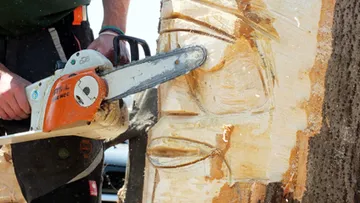A chainsaw carves an outdoor wooden object.