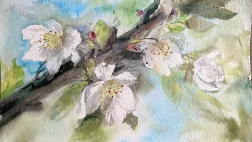 Blossom branch blooms surrounded by soft colors and leaves.
