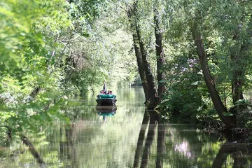Boat sails quietly on an overgrown waterway.