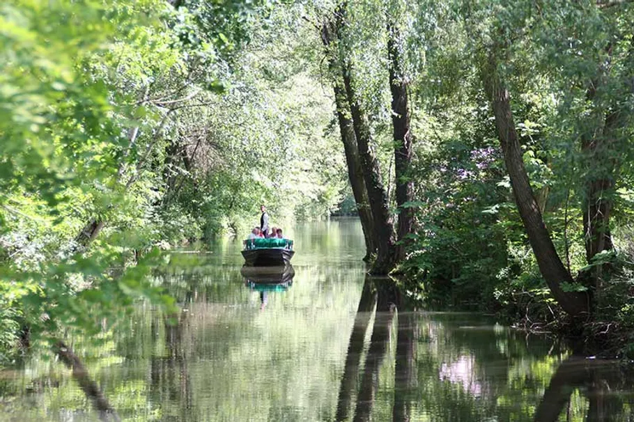 Boat sails quietly on an overgrown waterway.