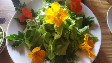 Salad with colorful flowers on a white plate.