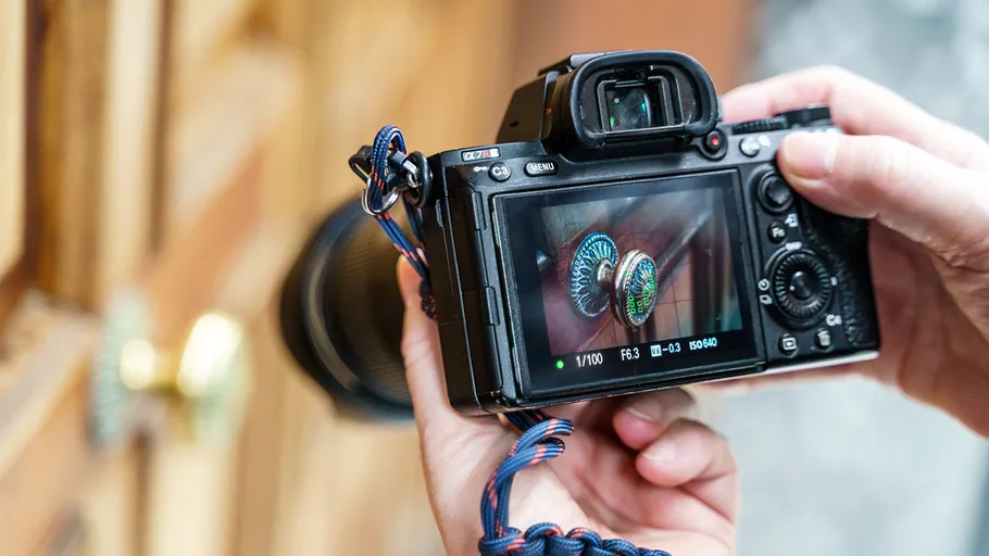 Camera in hand photographs decorative buttons on the door.