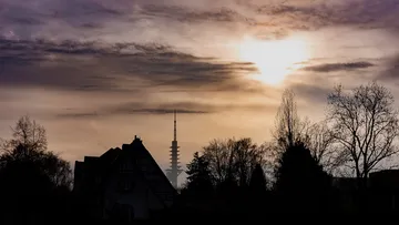 Silhouette of trees and building at sunset.