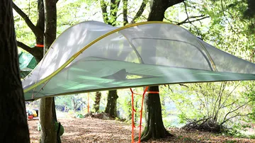 Hängematte schwebt zwischen Bäumen in einem sonnigen Wald.