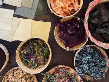 Colourful bowls with dried plants and dyes on table.