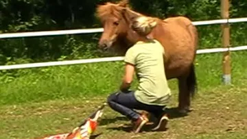 Pferd steht, Mensch kniet und interagiert im Garten.