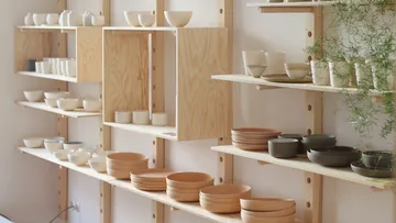 Shelves with pottery and plants in a bright room.