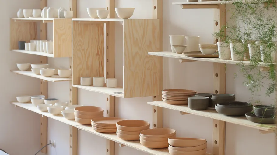 Shelves with pottery and plants in a bright room.