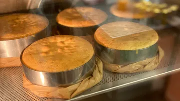 Bake cakes in round molds in an oven.