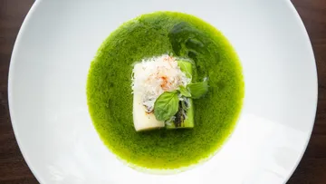 Green puree surrounds a piece of food on a white plate.