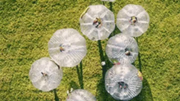 Transparent tents stand on green grass in a park.