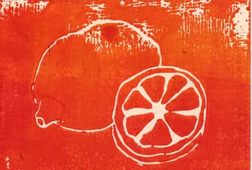 A lemon and an orange lie on a red background.