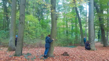 People hug trees in a colorful autumn forest.