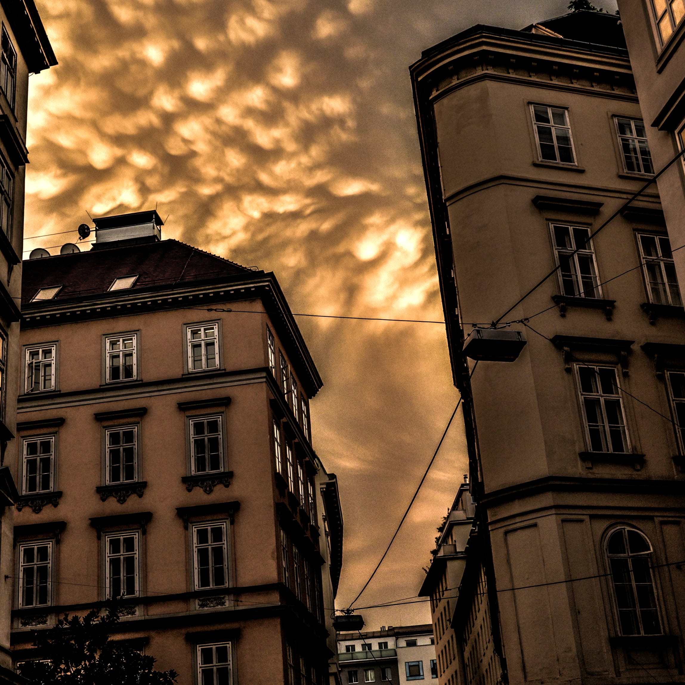 Rätselrallye in Wien: Die schaurige Stadt