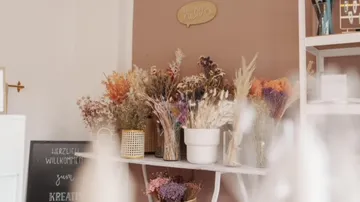 Getrocknete Blumen in Vasen schmücken ein Regal in einem Raum.