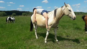 Ein Mensch liegt auf einem Pferd in einer Wiese.