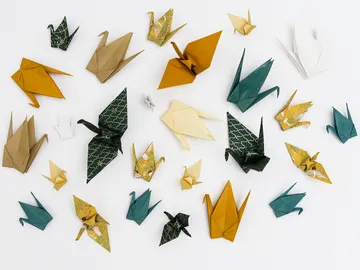 Colourful origami cranes are scattered on a white background.