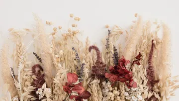 Getrocknete Blumen dekorieren eine helle Wand im Hintergrund.