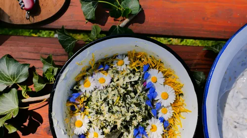 Schüssel mit bunten Blumen und Kräutermischung auf Holz.