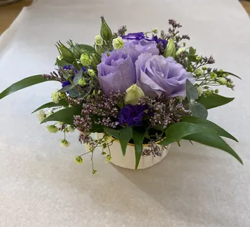 Violettes Rosenarrangement im weißen Keramiktopf.