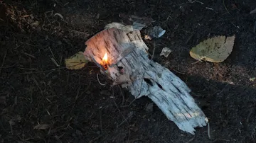 Brennholzstück glüht auf dem Boden im Wald.