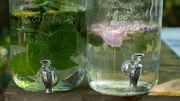 Zwei Glaskaraffen mit Pflanzen und Wasser im Freien.