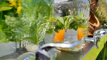 A large glass container is filled with drink and herbs.