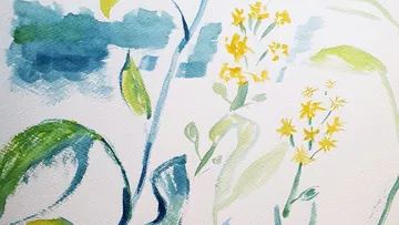 Colourful watercolor plants grow in soft, flowing lines.