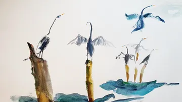 Störche stehen auf Bäumen und fliegen über Wasser.