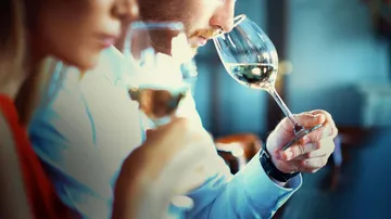 Glasses of wine are viewed during a wine tasting session.