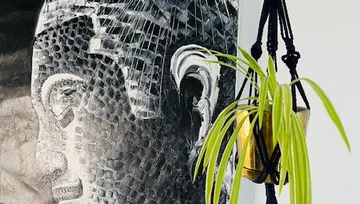 Mural of a head, plant growing in golden pot.