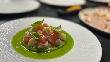 Fischgericht mit buntem Gemüse auf grünem Püree serviert.