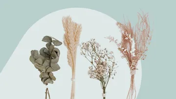 Trockenblumen stehen nebeneinander auf hellem Hintergrund.