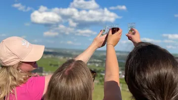 Three people are toasting in nature with glasses.