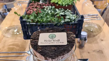 A piece of wood with lettering is standing on a table, plants visible.