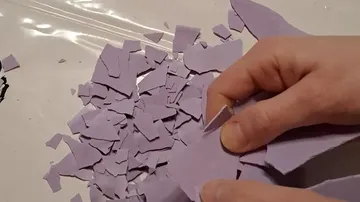 Purple pieces are broken and distributed by one person.