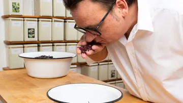 You smell dried herbs in a kitchen.