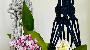 Hanging plants with colorful flowers in macrame holders