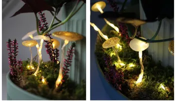 Bright mushroom decorations in a planted arrangement