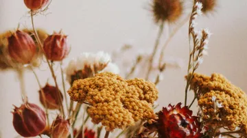 Bunte Trockenblumen stehen in einer Vase auf einem Tisch.