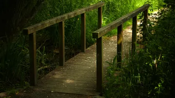 Holzbrücke über den Waldbach.