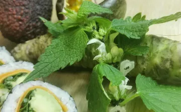 Sushi rolls lie next to fresh herbs and root vegetables.