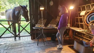 Pferd schaut durch die Tür, während Jugendliche neugierig stehen.