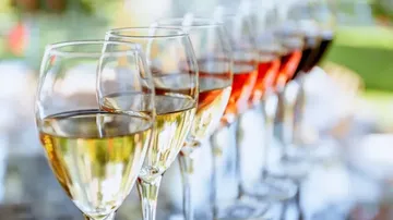 Set of outdoor wine glasses with different wine colors.