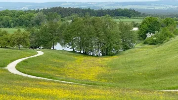 Green hill with path, trees and blooming meadow in the background.