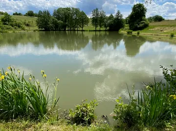 A pond reflects the sky and surrounding trees.