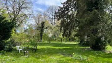 Grüner Garten mit Stühlen, umgeben von Bäumen und Blumen.